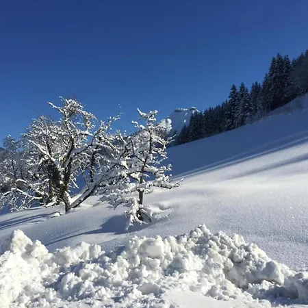 In Near Slopes