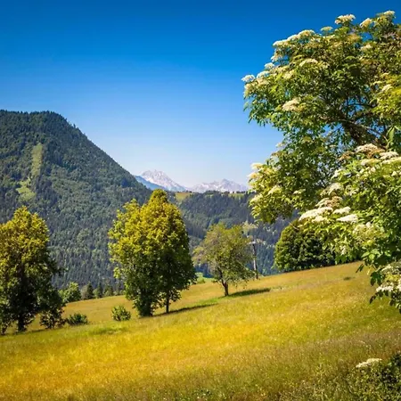 Appartamento In Near Slopes Mittersill