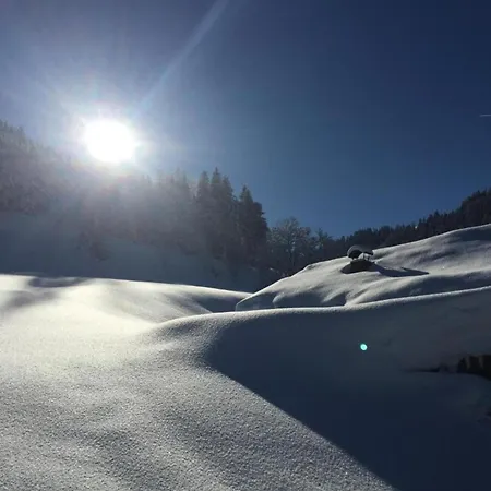In Near Slopes *