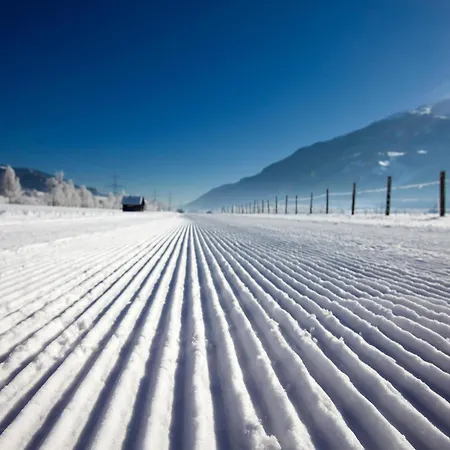Appartamento In Near Slopes Mittersill