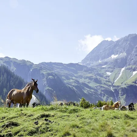 Appartamento In Near Slopes