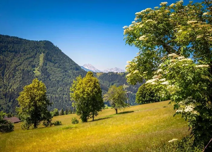 Apartament In Near Slopes Mittersill